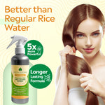 Original | Fermented Rice Water Conditioner [Wholesale]
